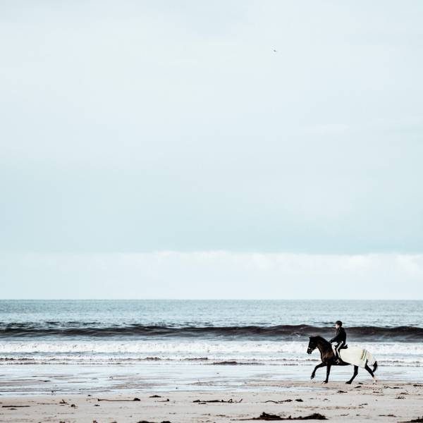 Beach Horse Ride or Mountain view Horse trails: Cape Town - Image 2