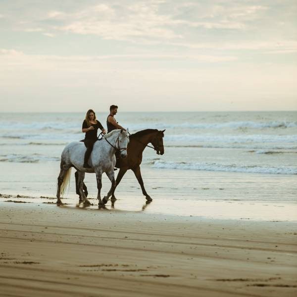 Beach Horse Ride or Mountain view Horse trails: Cape Town - Image 3