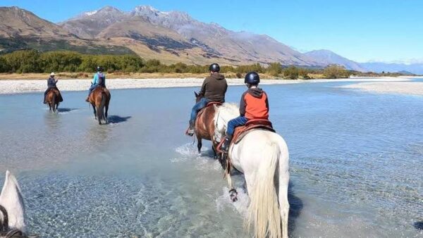 Beach Horse Ride or Mountain view Horse trails: Cape Town - Image 10