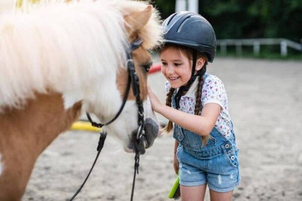 Beach Horse Ride or Mountain view Horse trails: Cape Town - Image 11