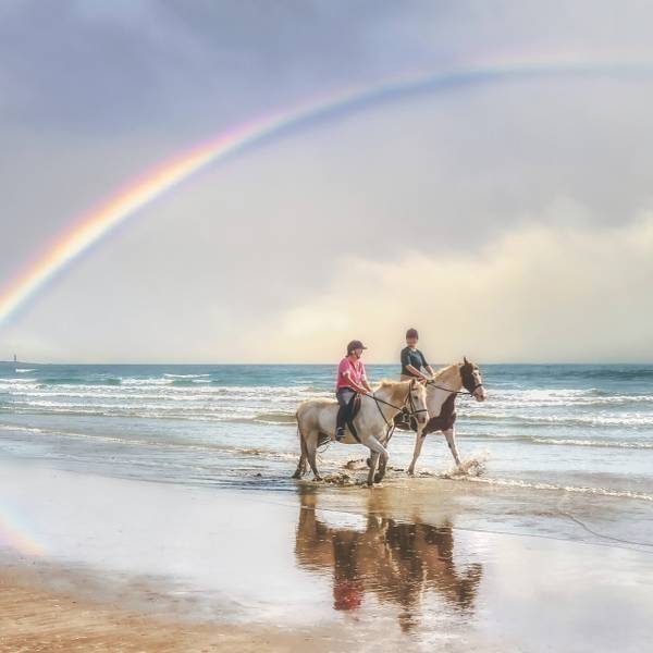 Beach Horse Ride or Mountain view Horse trails: Cape Town - Image 5