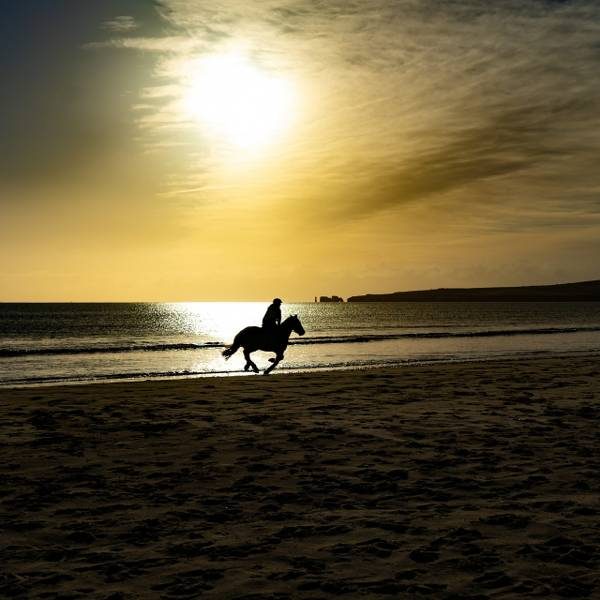 Beach Horse Ride or Mountain view Horse trails: Cape Town - Image 6