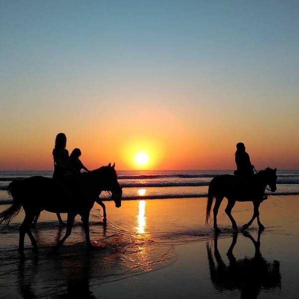 Beach Horse Ride or Mountain view Horse trails: Cape Town - Image 7
